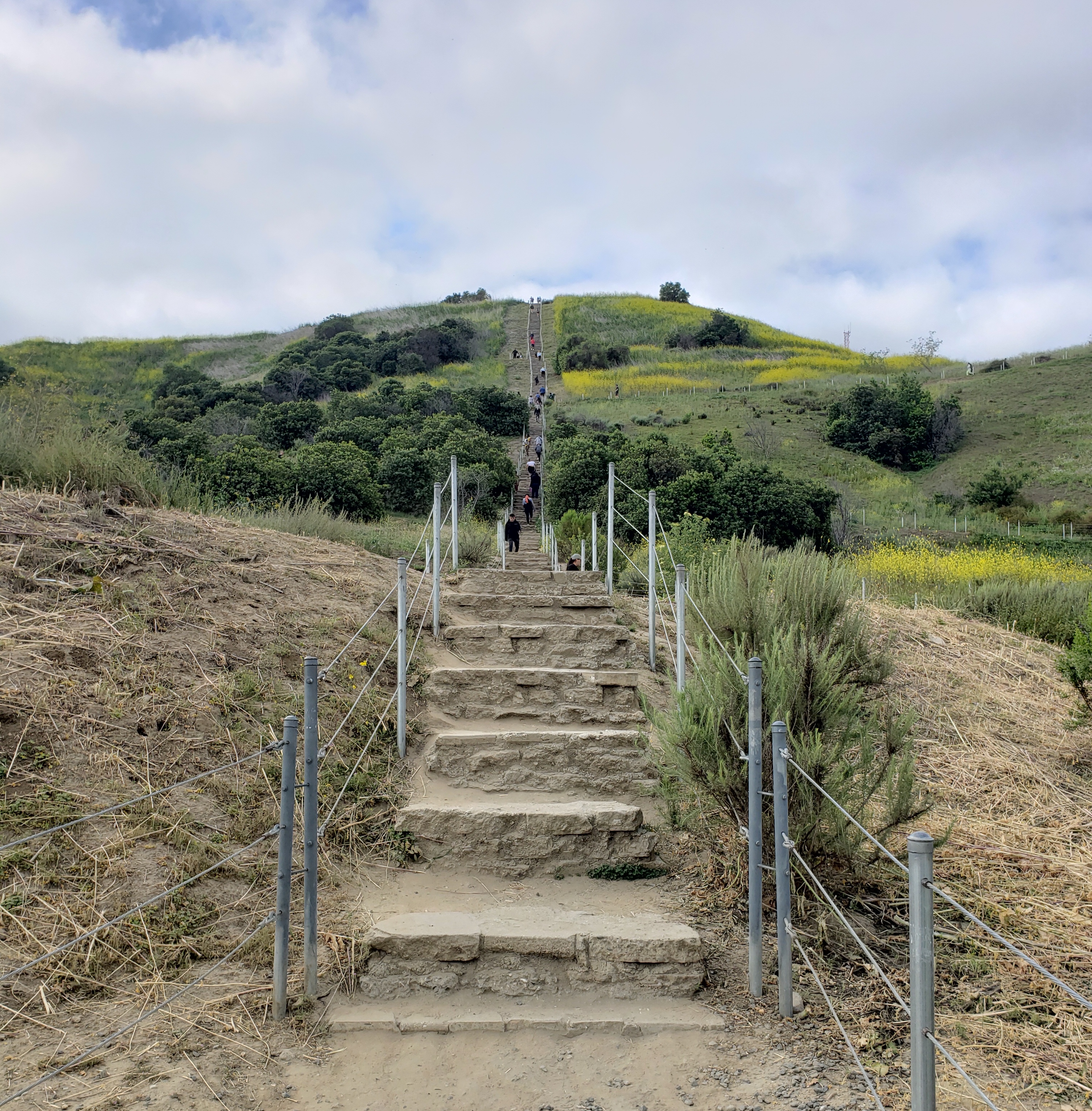 Culver City Stairs park